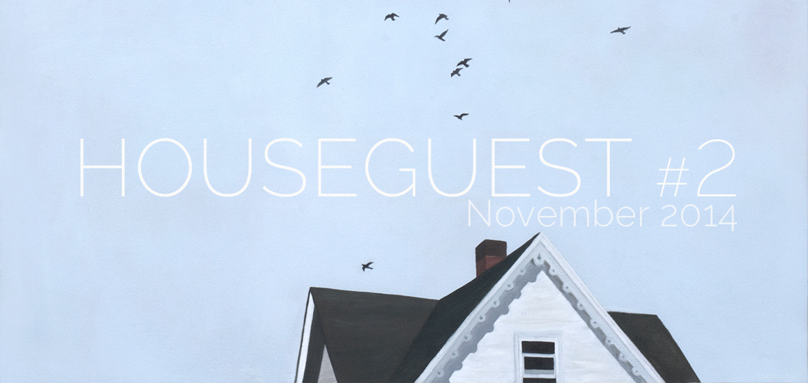 Tim Frisch Birds Over 5th, Houseguest Issue #2